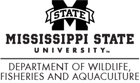 Mississippi State University